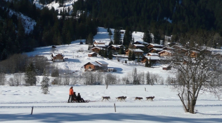 Wintersport Lauenen